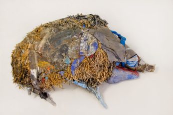 Carl Emanuel Wolff - Wildschwein (liegend)