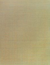 Zhou Yangming - 1st April, Year of Xinmao