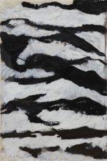 Lutz Fritsch - ARK XIII-3-97 - Arktis