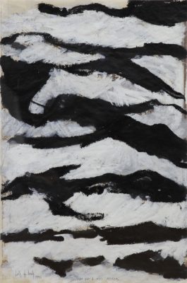 Lutz Fritsch – ARK XIII-3-97 – Arktis Lutz Fritsch - ARK XIII-3-97 - Arktis