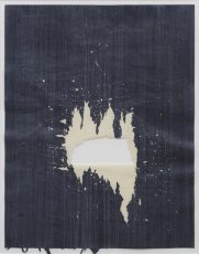 Hermann Josef Mispelbaum - Natureinbruch